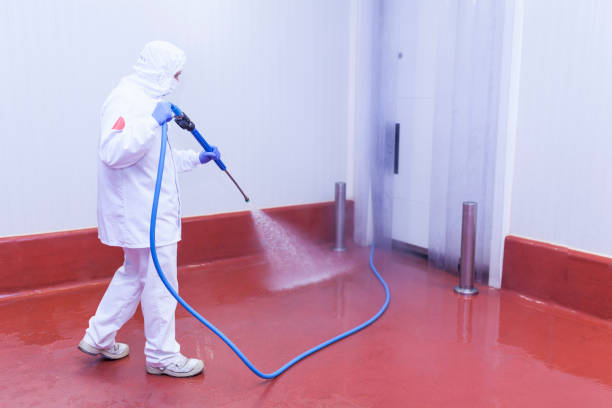 Paint Preparation in Pomona, CA